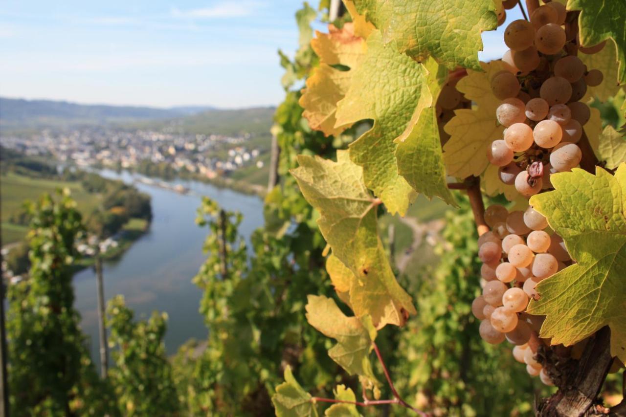 Weingut Markus Junglen Kröv Exterior foto